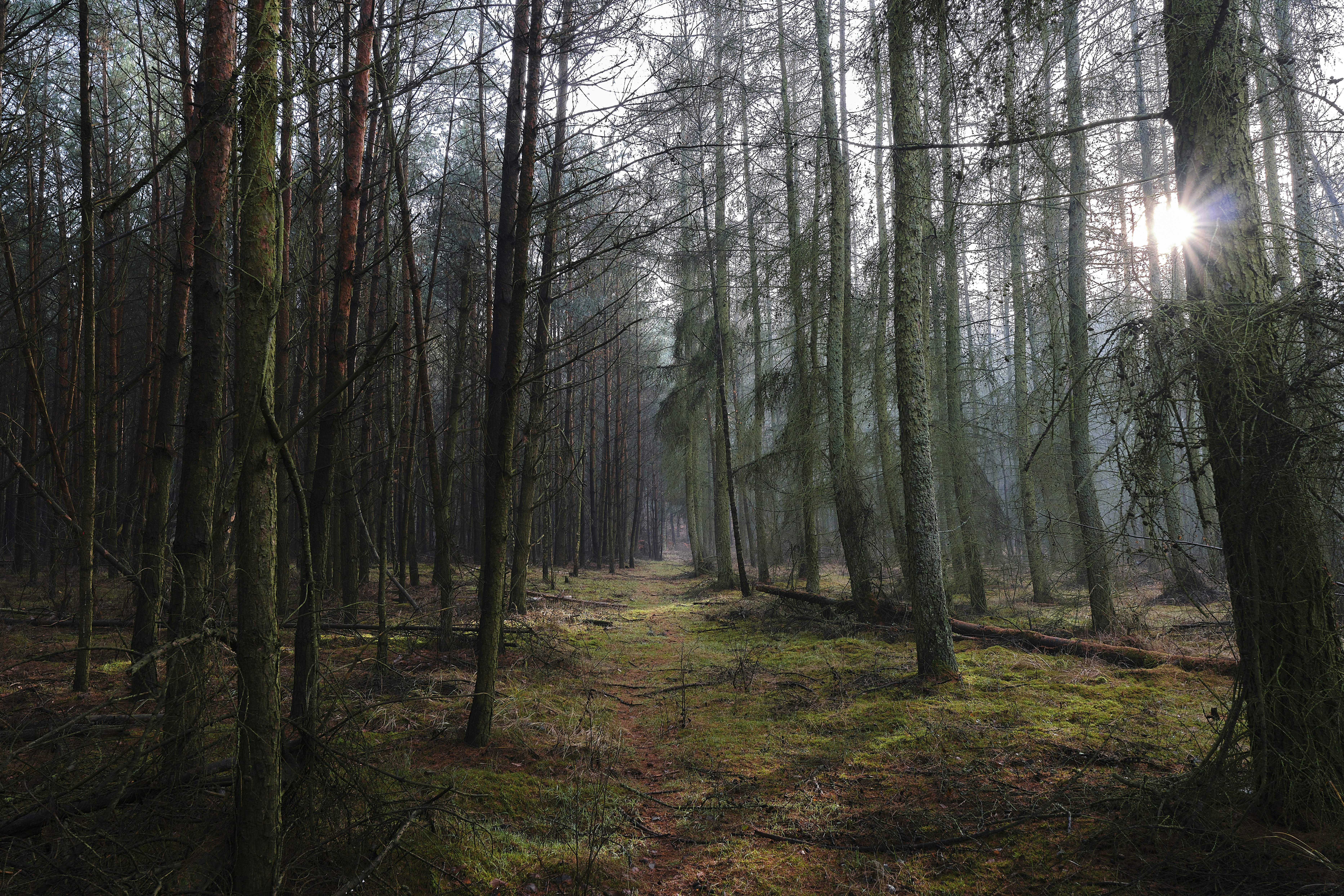 Photo by victor_vector