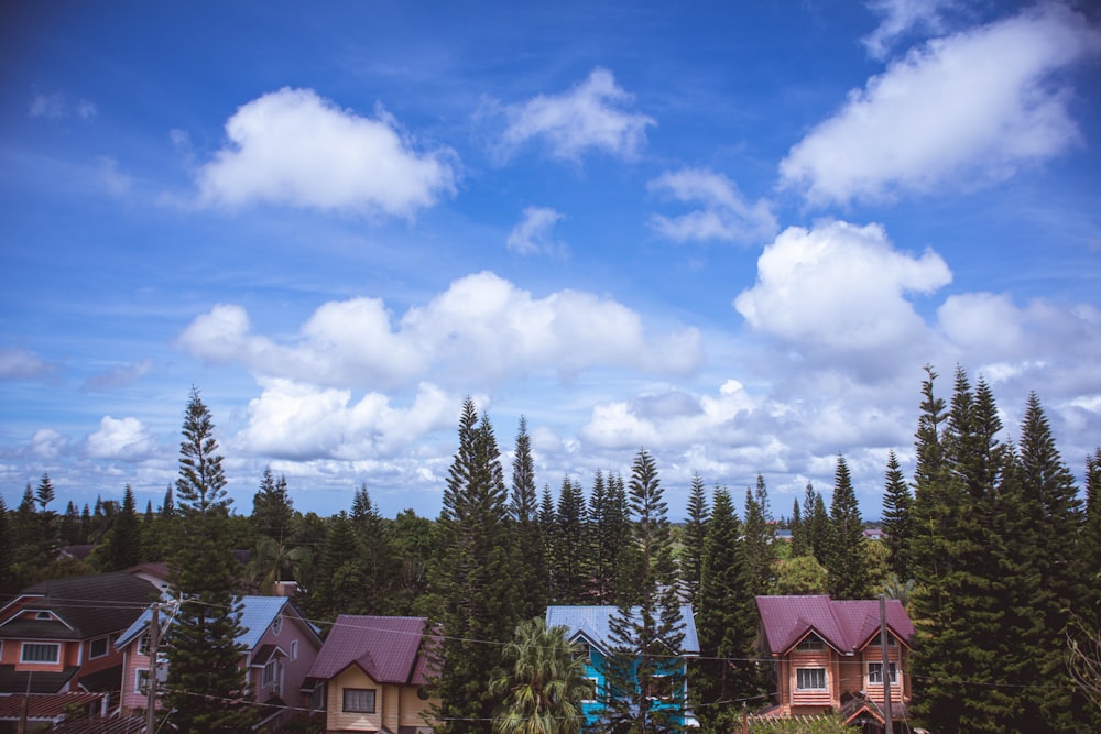 a row of houses in a forest under a cloudy blue sky