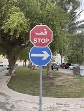 A red octagonal stop sign with Arabic and English text is combined with a blue circular sign indicating a right turn. The signs are placed on a grassy area next to a sidewalk, surrounded by trees. Cars are parked along the street in the background.