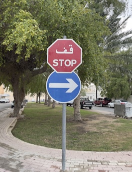 A red octagonal stop sign with Arabic and English text is combined with a blue circular sign indicating a right turn. The signs are placed on a grassy area next to a sidewalk, surrounded by trees. Cars are parked along the street in the background.