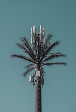 A cell tower designed to look like a palm tree, with artificial foliage blending with technological equipment against a clear blue sky.