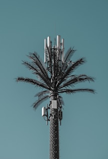 A cell tower designed to look like a palm tree, with artificial foliage blending with technological equipment against a clear blue sky.