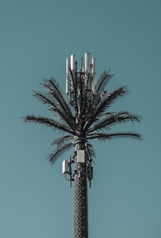A cell tower designed to look like a palm tree, with artificial foliage blending with technological equipment against a clear blue sky.