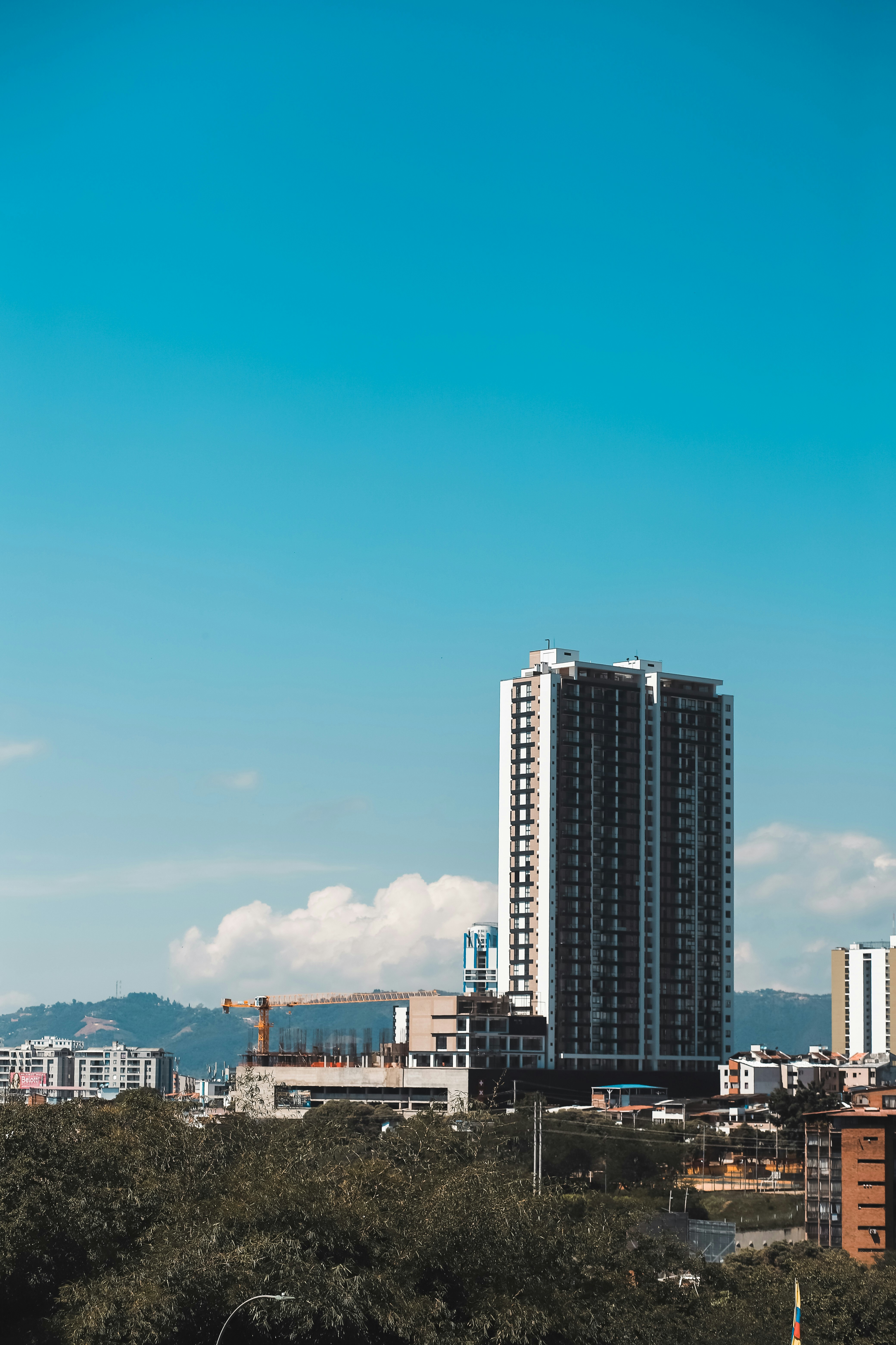 a city with tall buildings and trees in the foreground