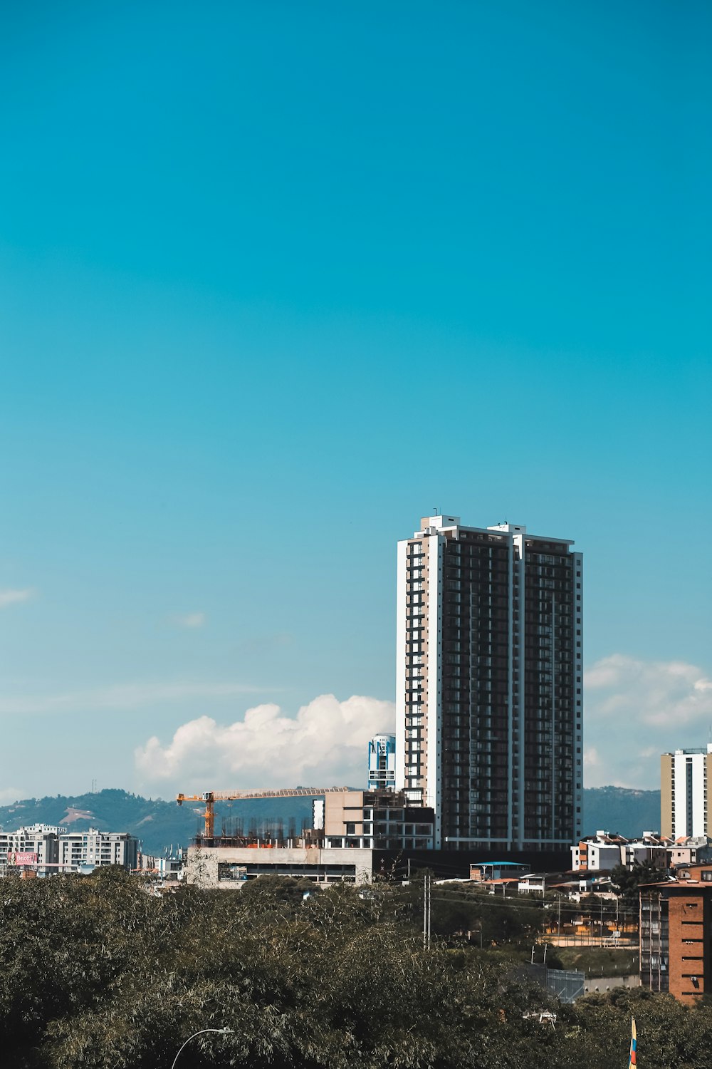 a city with tall buildings and trees in the foreground