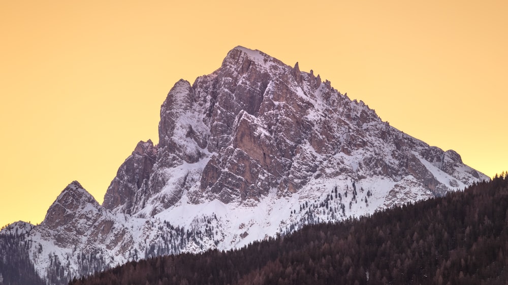 a snow covered mountain with trees in the foreground