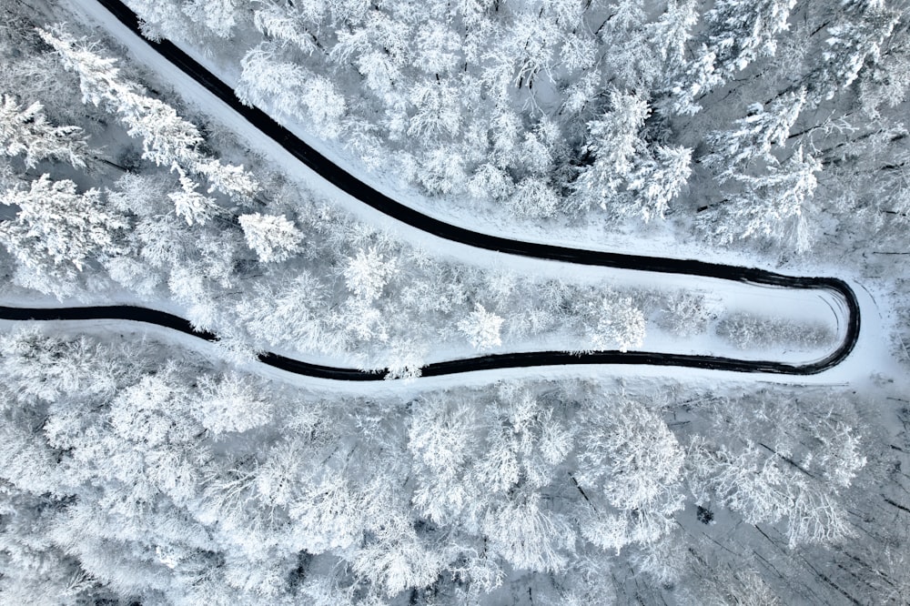 a winding road in the middle of a snowy forest