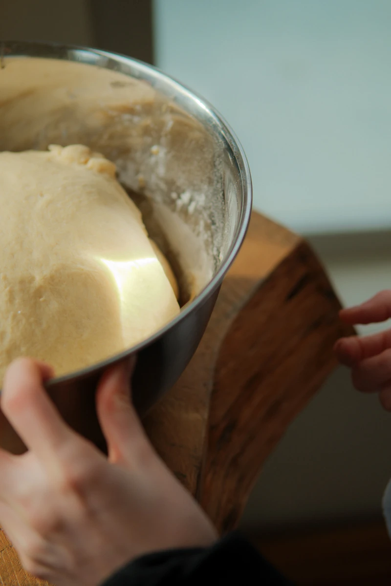Brød & Taylor Folding Proofer & Slow Cooker