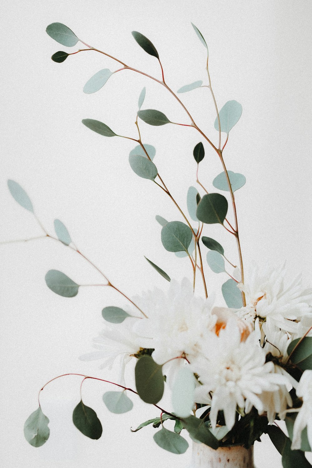 eine Vase gefüllt mit weißen Blüten und grünen Blättern