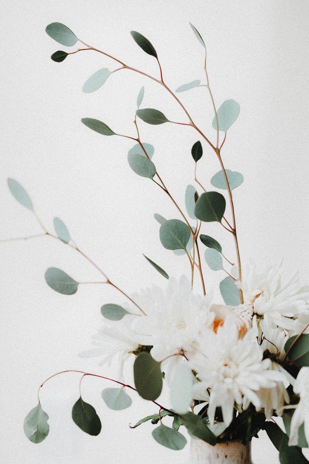 a vase filled with white flowers and green leaves