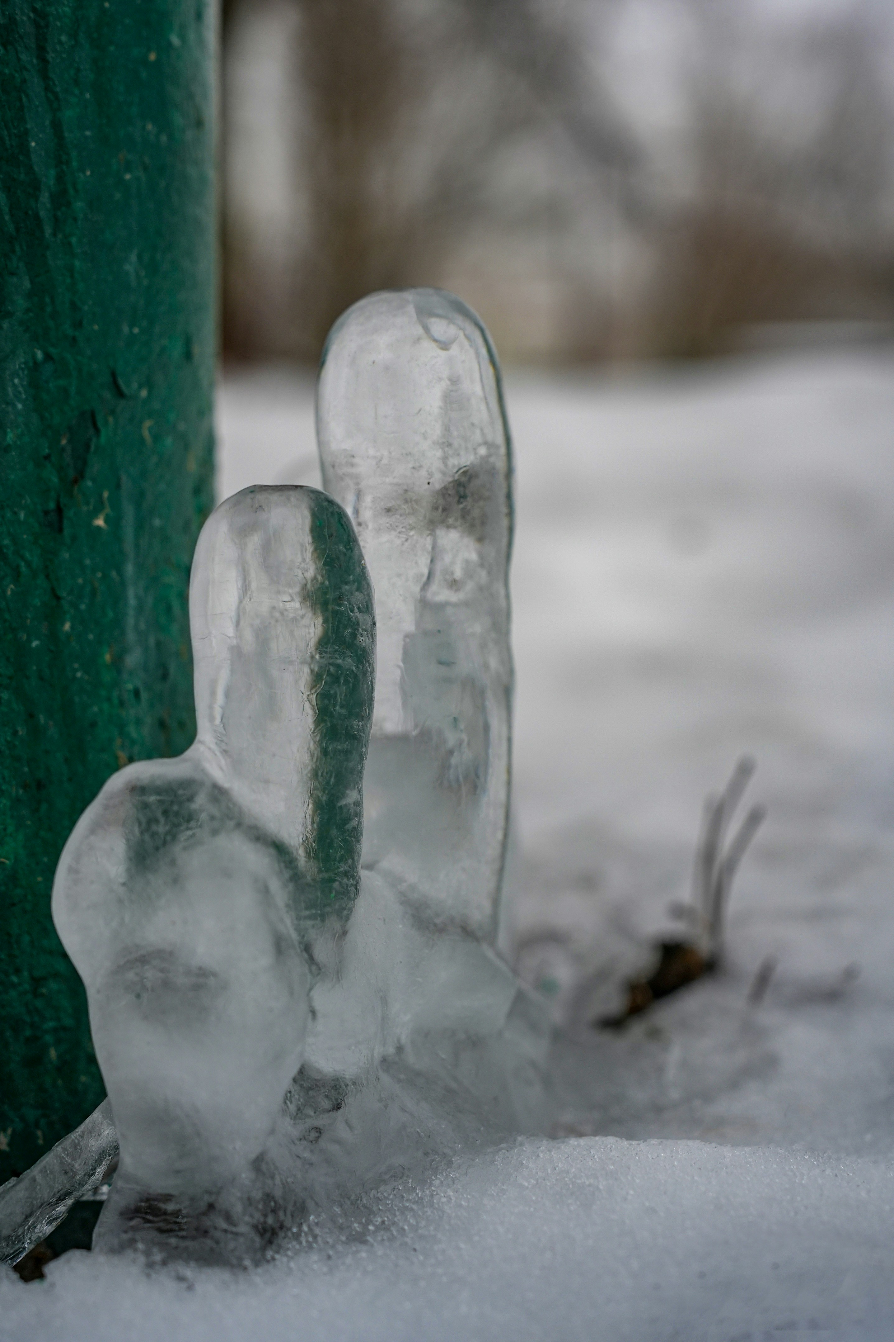 a close up of a green pole in the snow