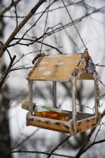 A wooden bird feeder hangs from a tree branch with no leaves. Inside the feeder, there is a small glass bottle containing a golden liquid, possibly oil or alcohol. The feeder is weathered, with peeling paint and rough edges, suggesting age or exposure to the elements. The background is a soft blur of more leafless branches and a gray, overcast sky.