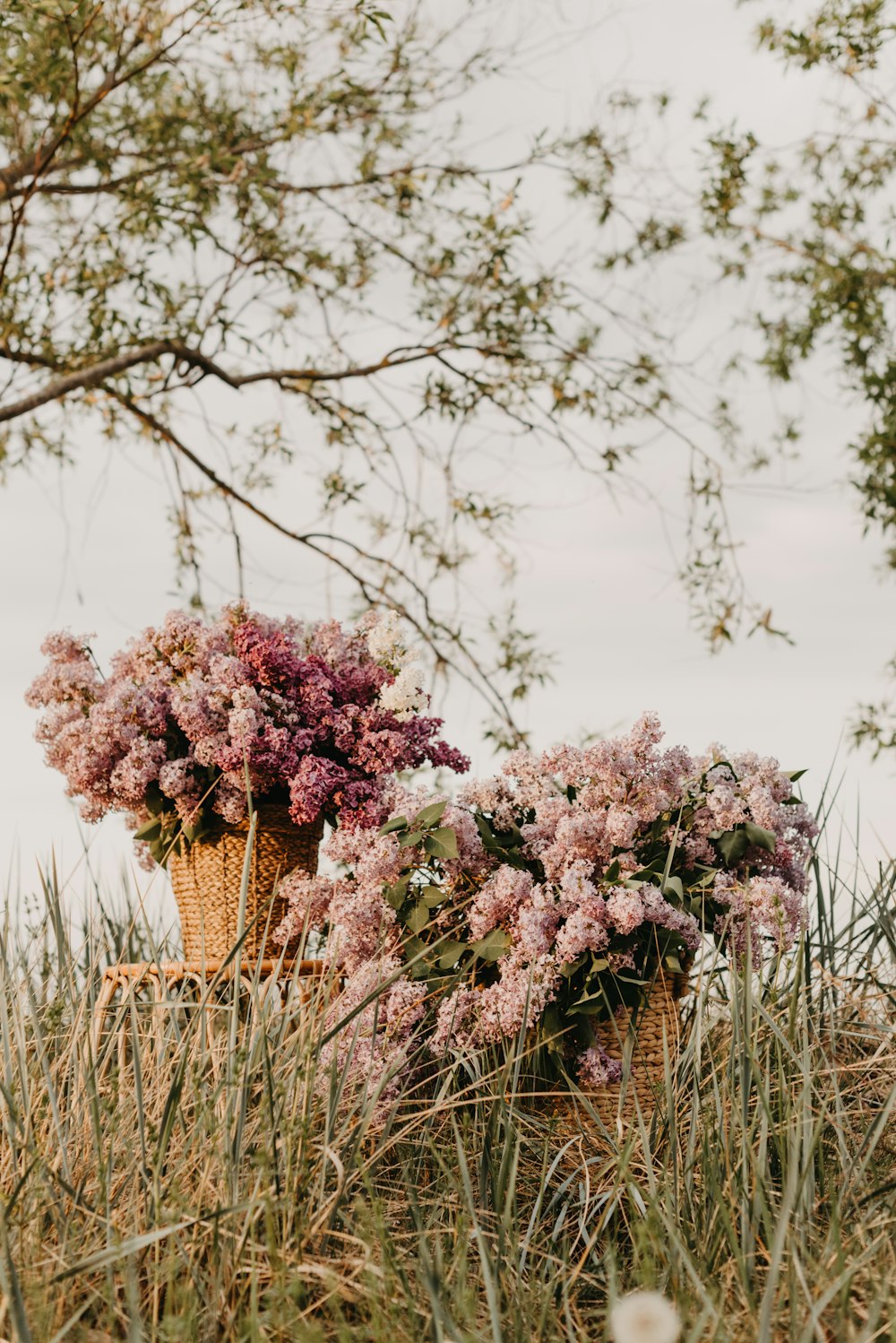 a basket full of flowers sitting in the grass