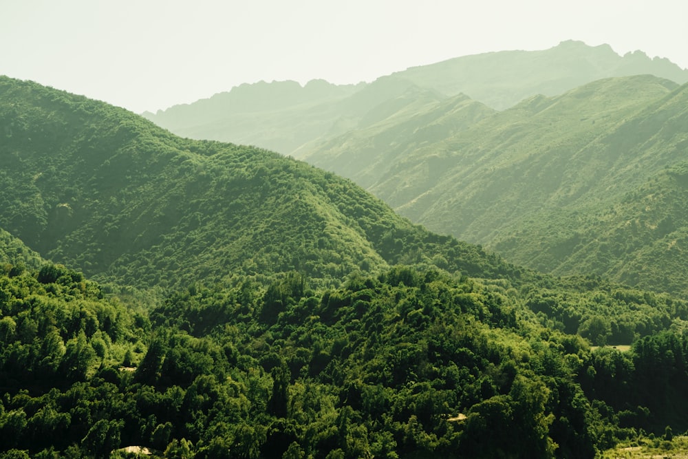 a view of a mountain range with trees in the foreground