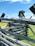 A rustic wooden split-rail fence stretches into the distance under a bright blue sky. A large tree stands in the background, and the grass is vivid green, indicating a sunny day.