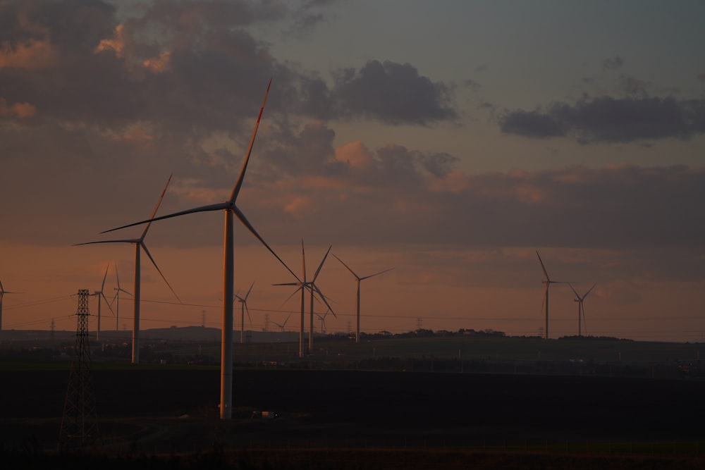 a group of windmills in a field at sunset