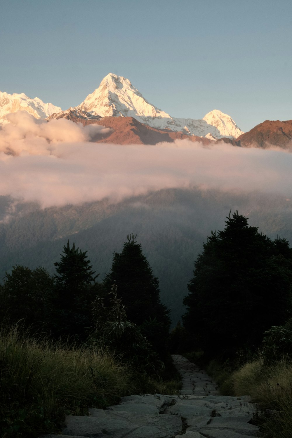 a path leading to the top of a mountain