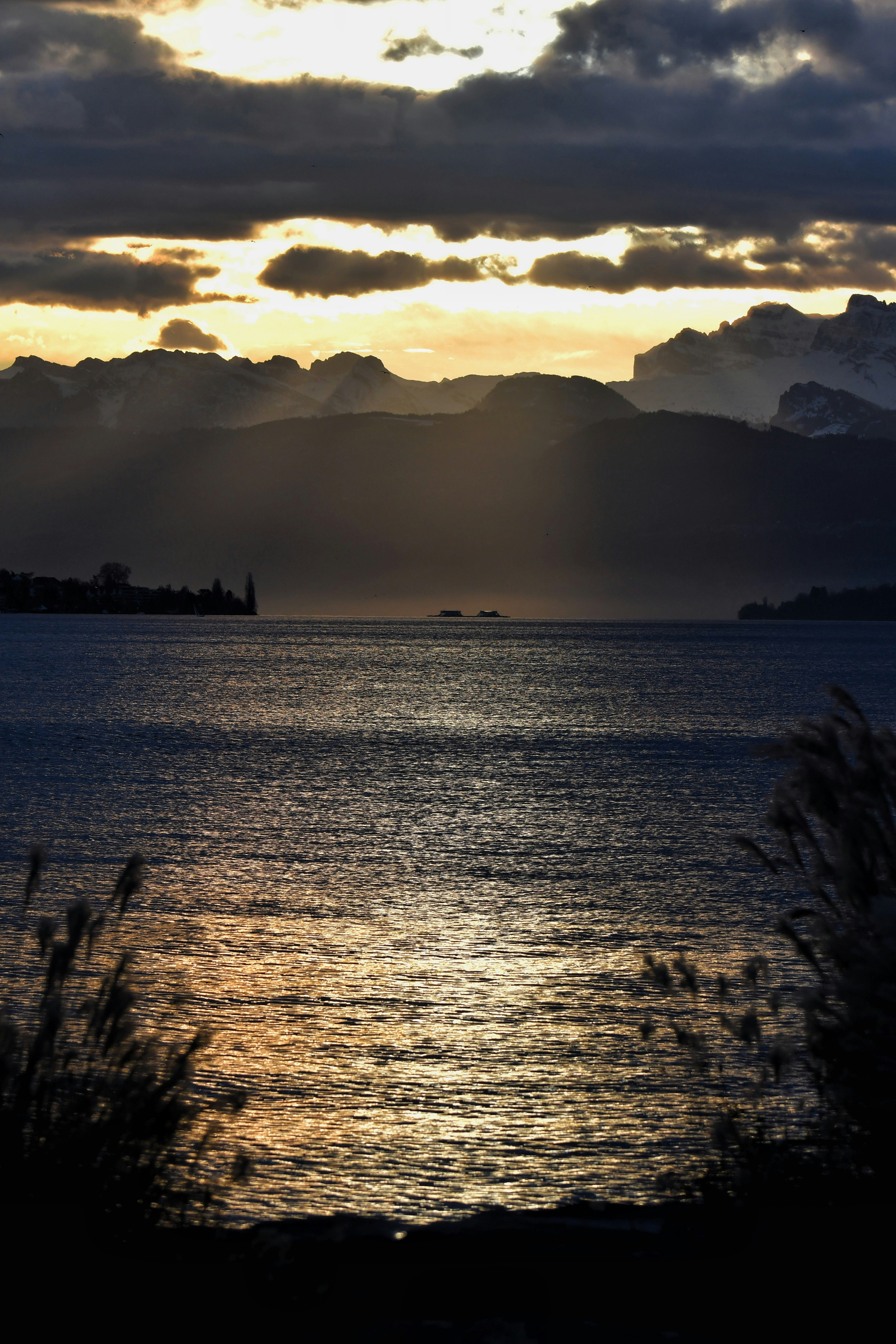 Photo by pedrino5_official