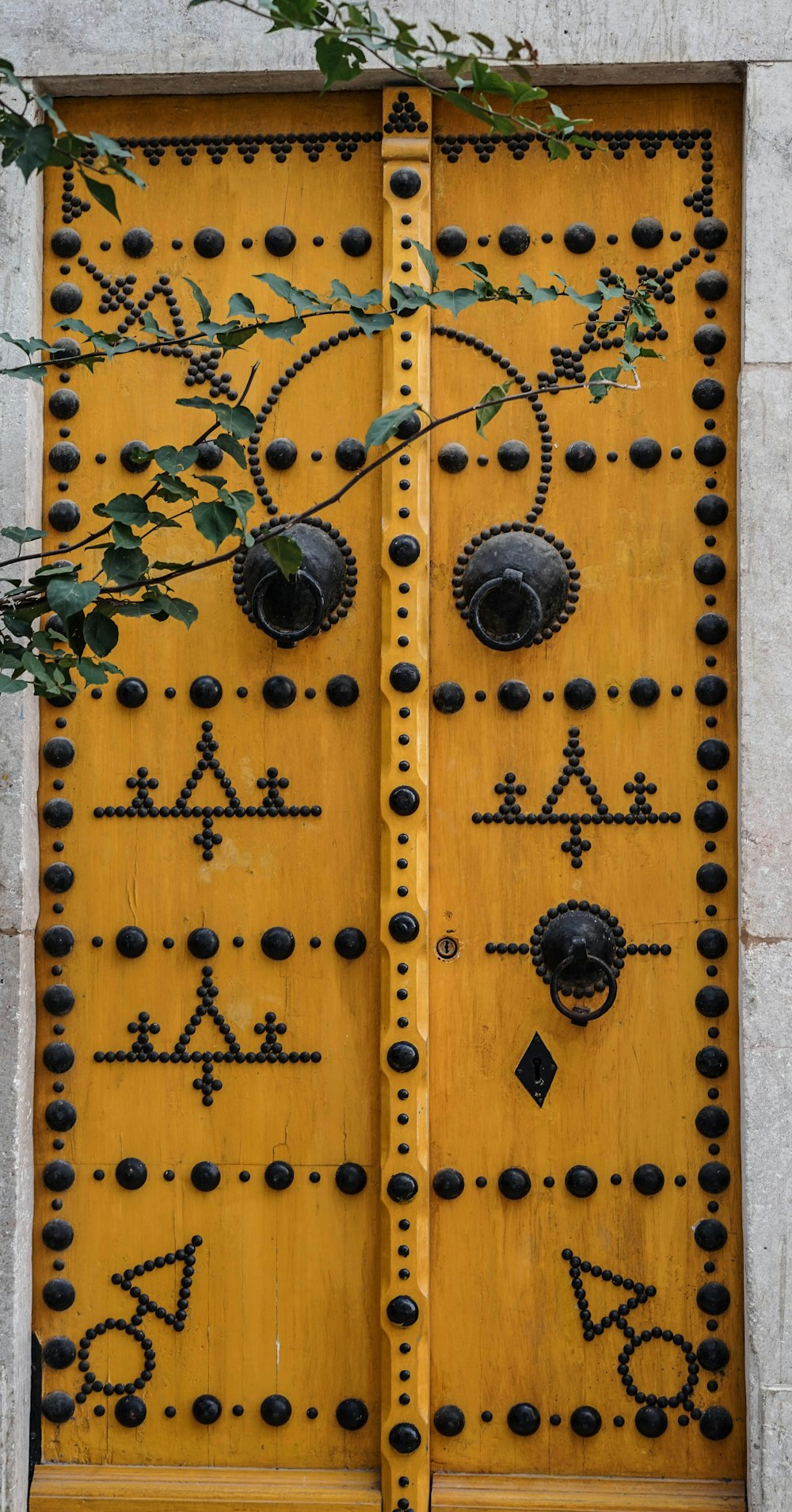 a yellow door with a plant growing out of it