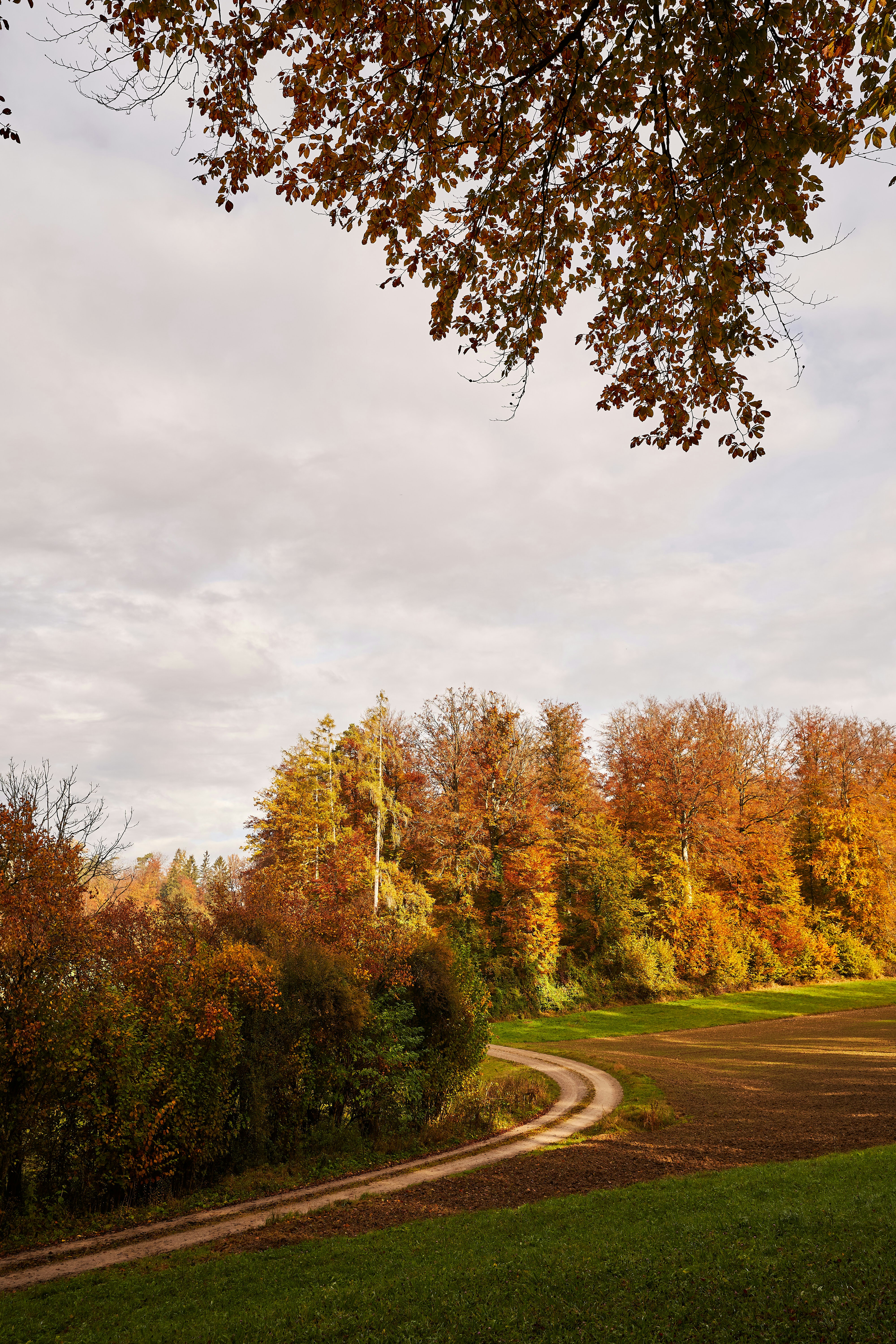 Photo by wolfgang_hasselmann