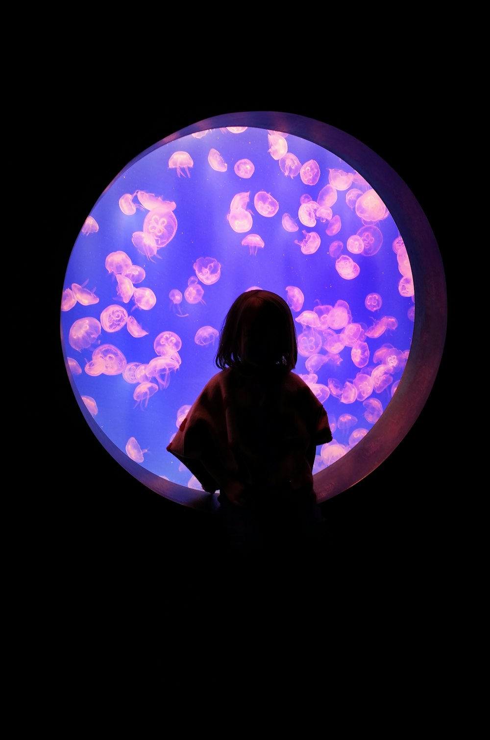 a little girl sitting in front of a purple jellyfish tank