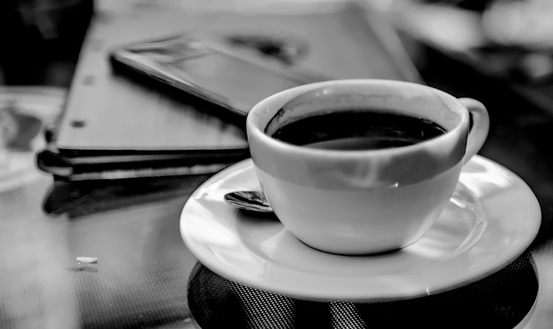 Best Quiet Cafes to Study in Cairo Without Getting Kicked Out