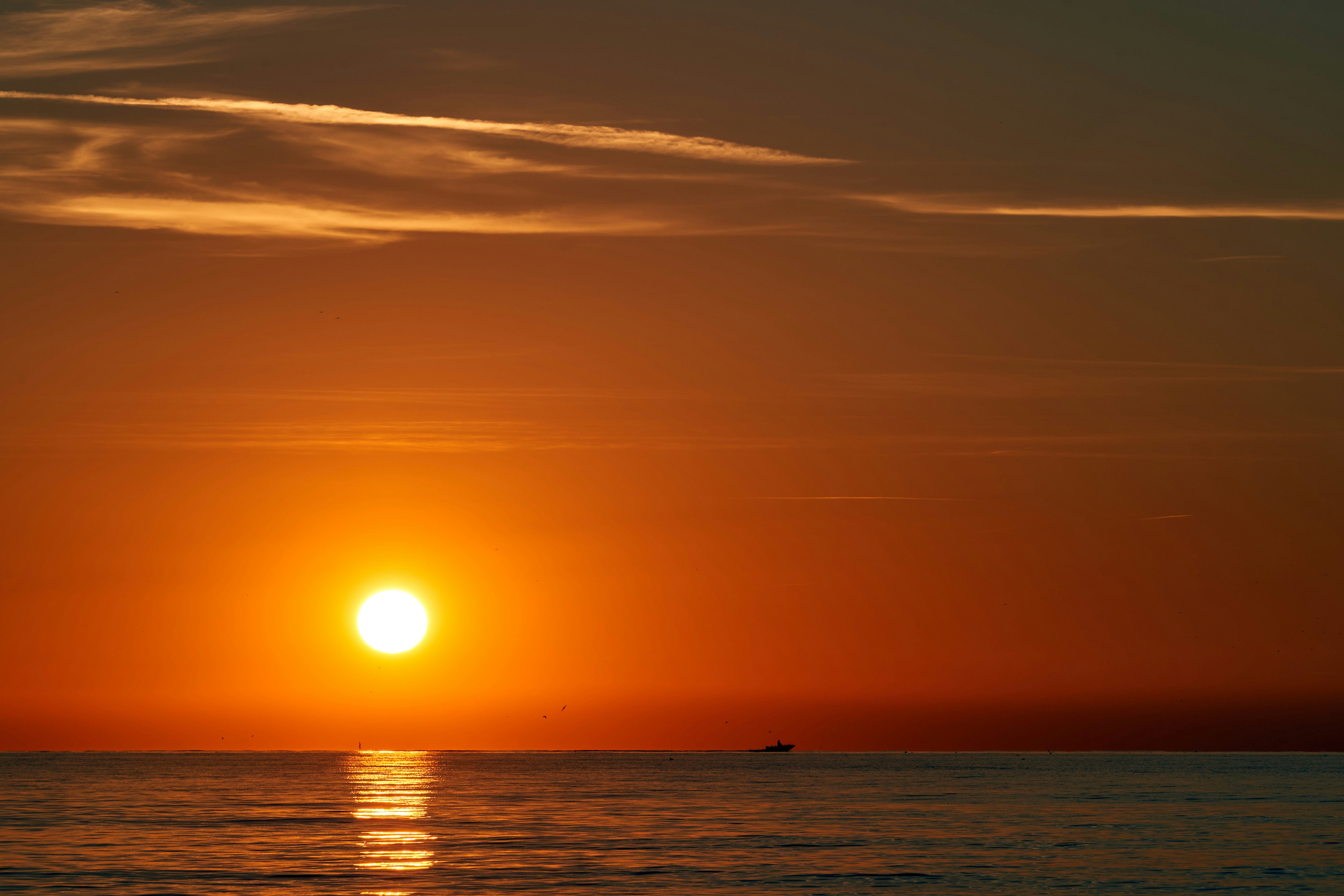 Photo by wolfgang_hasselmann