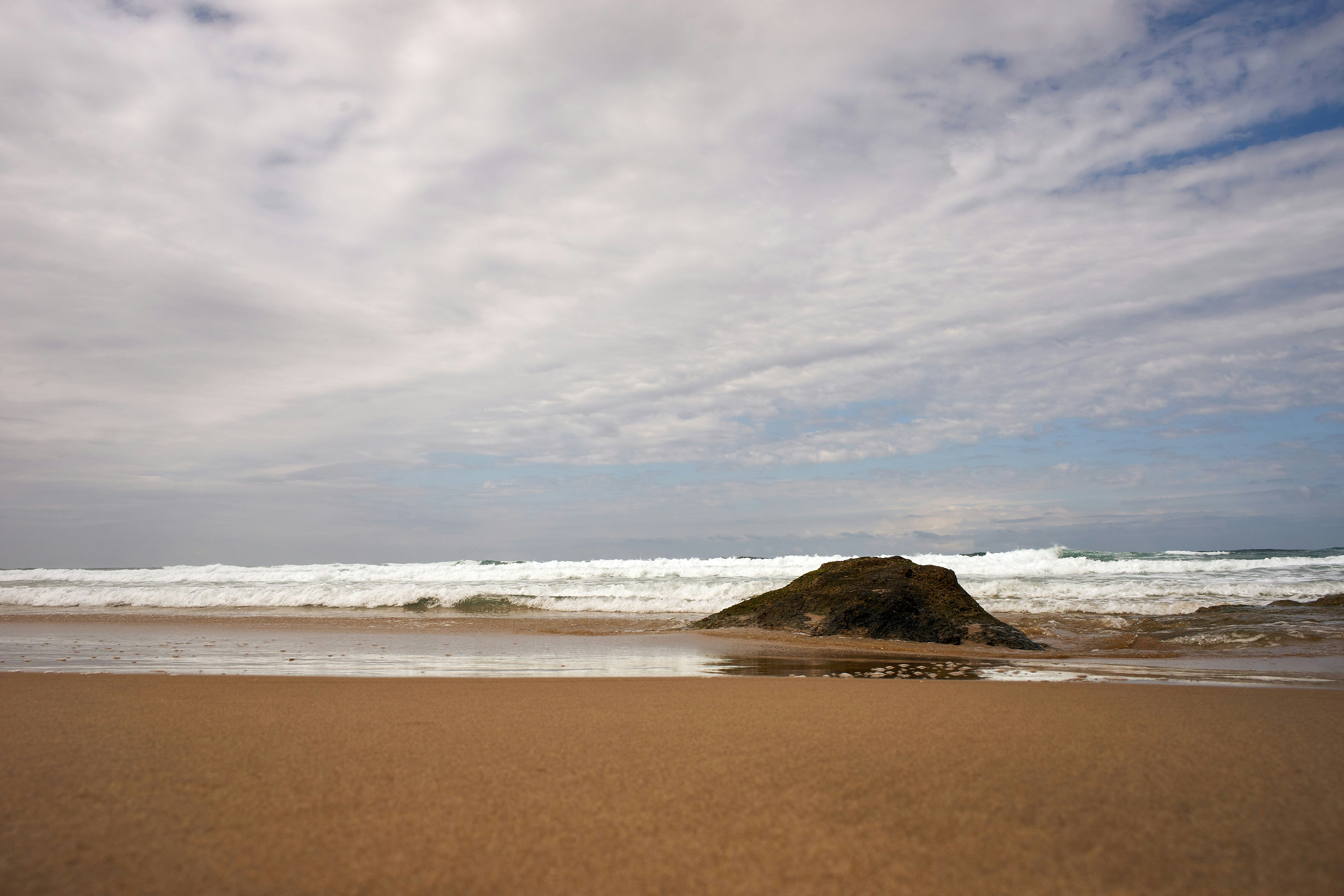 Photo by wolfgang_hasselmann