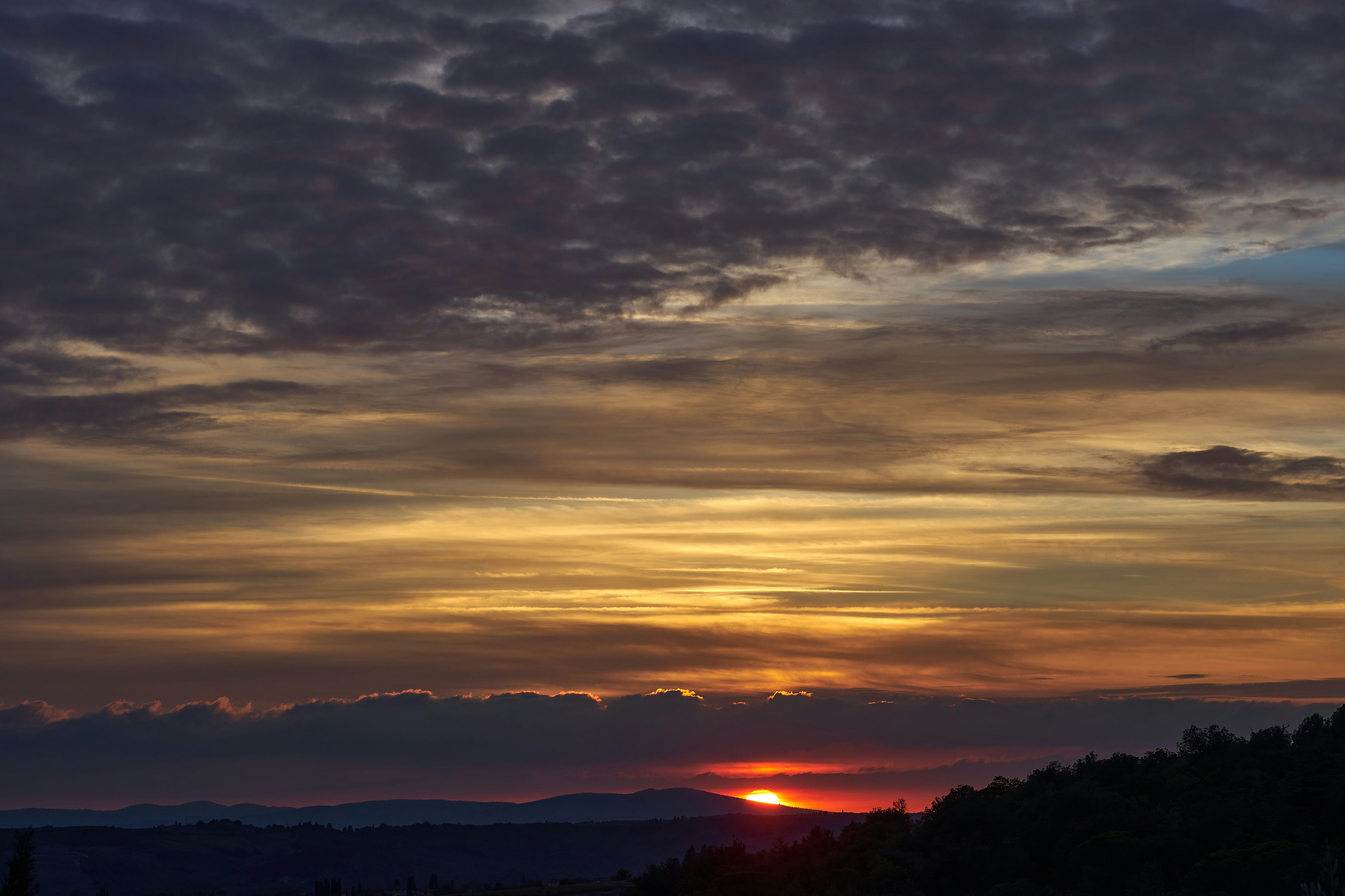 Photo by wolfgang_hasselmann