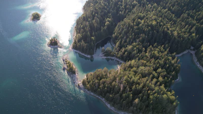 Aerial view of a Canadian island with dense forest and crystal-clear lakes.