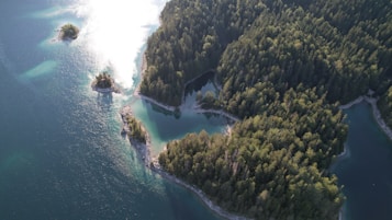 Aerial view of a forested island surrounded by a body of water with smaller islets visible. Sunlight reflects off the water, creating a bright contrast with the dark green trees. The coastline is rugged and natural, with clearly defined borders between the land and water.