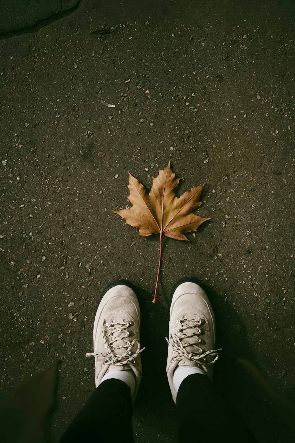 a person standing next to a leaf on the ground