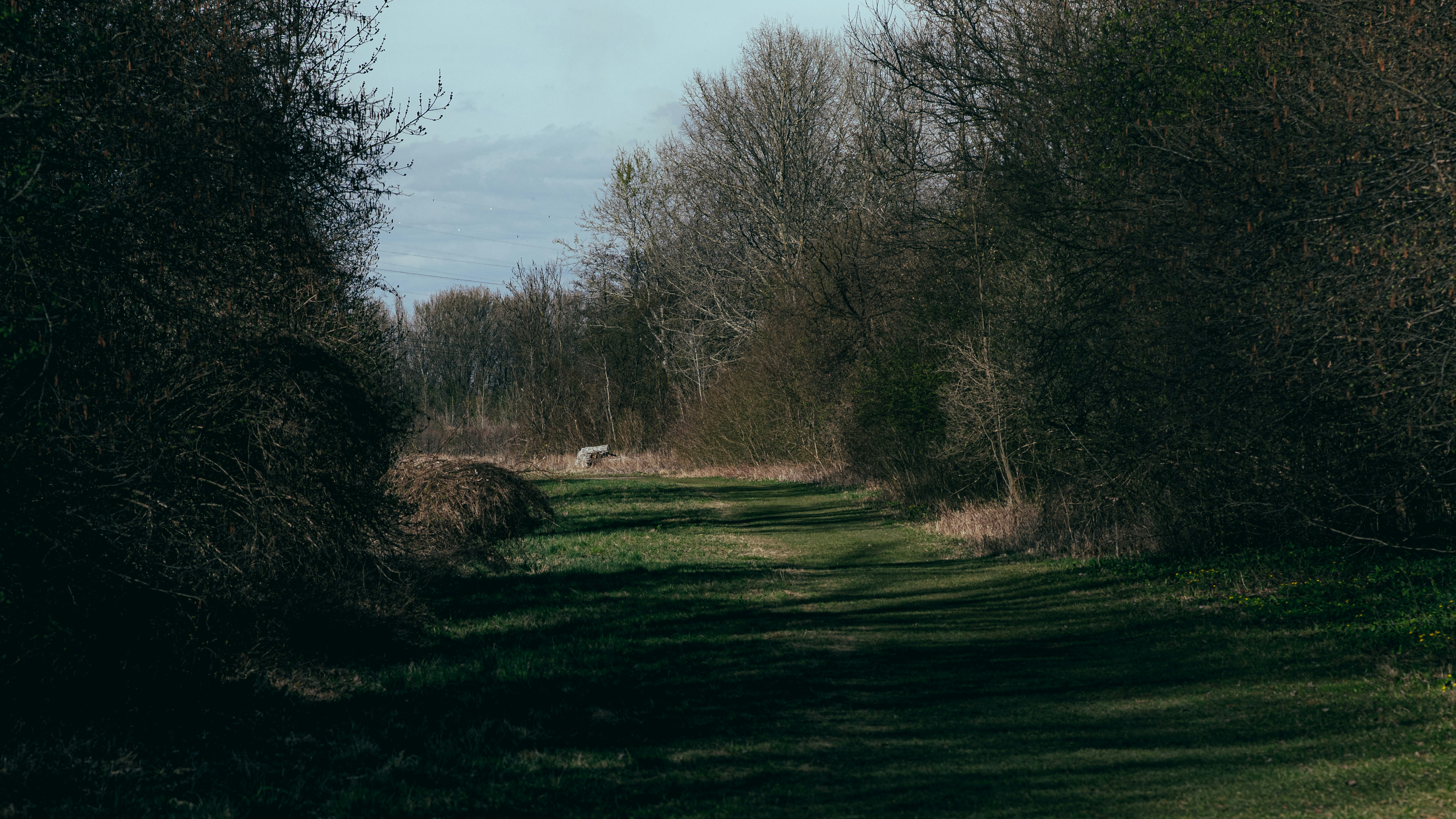 Photo by denisbayer