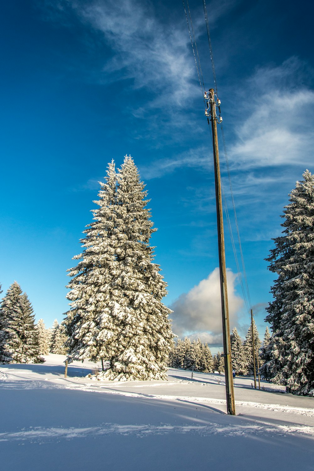 a telephone pole in the middle of a snowy field