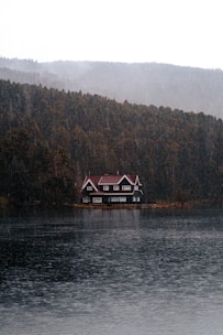 A house with a red roof and dark exterior sits on the edge of a still lake surrounded by dense forest. The trees in the background create a deep green backdrop, and it's raining, with raindrops visible on the water surface.