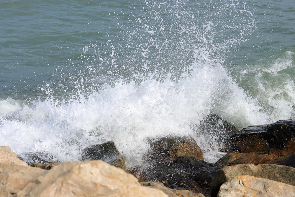 a wave crashes on rocks near the ocean