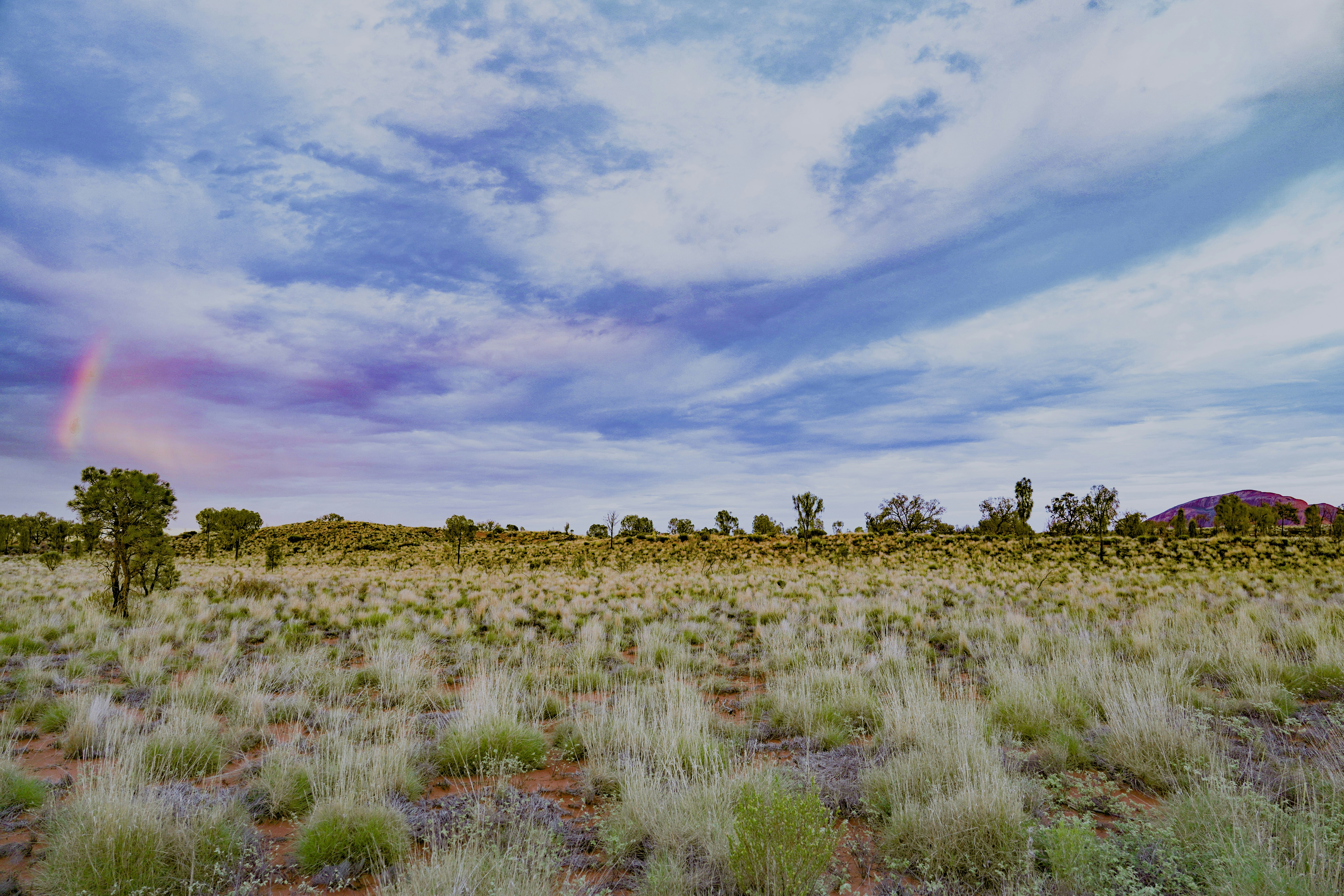 Photo by youngbloke