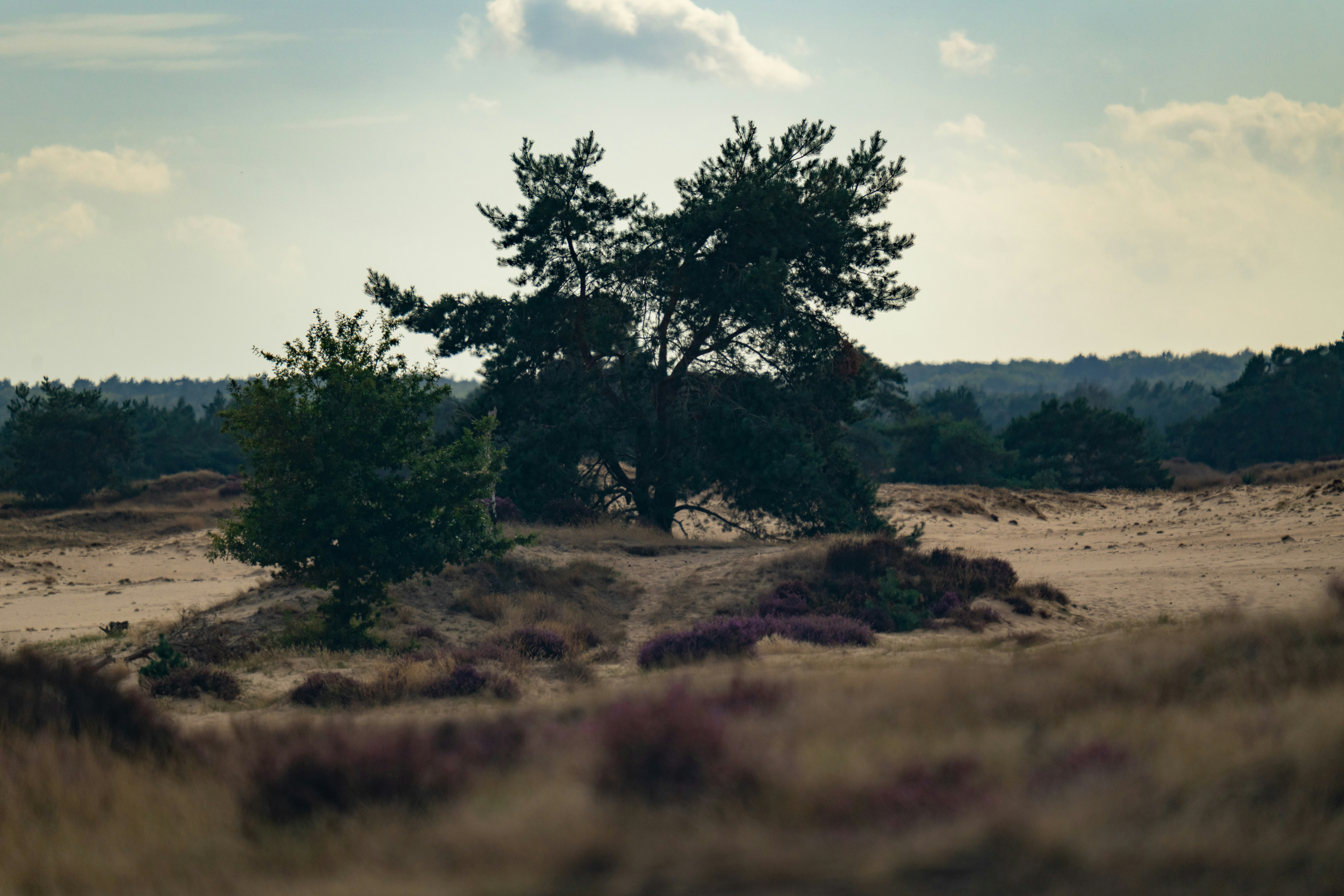 Photo by peterpunkt