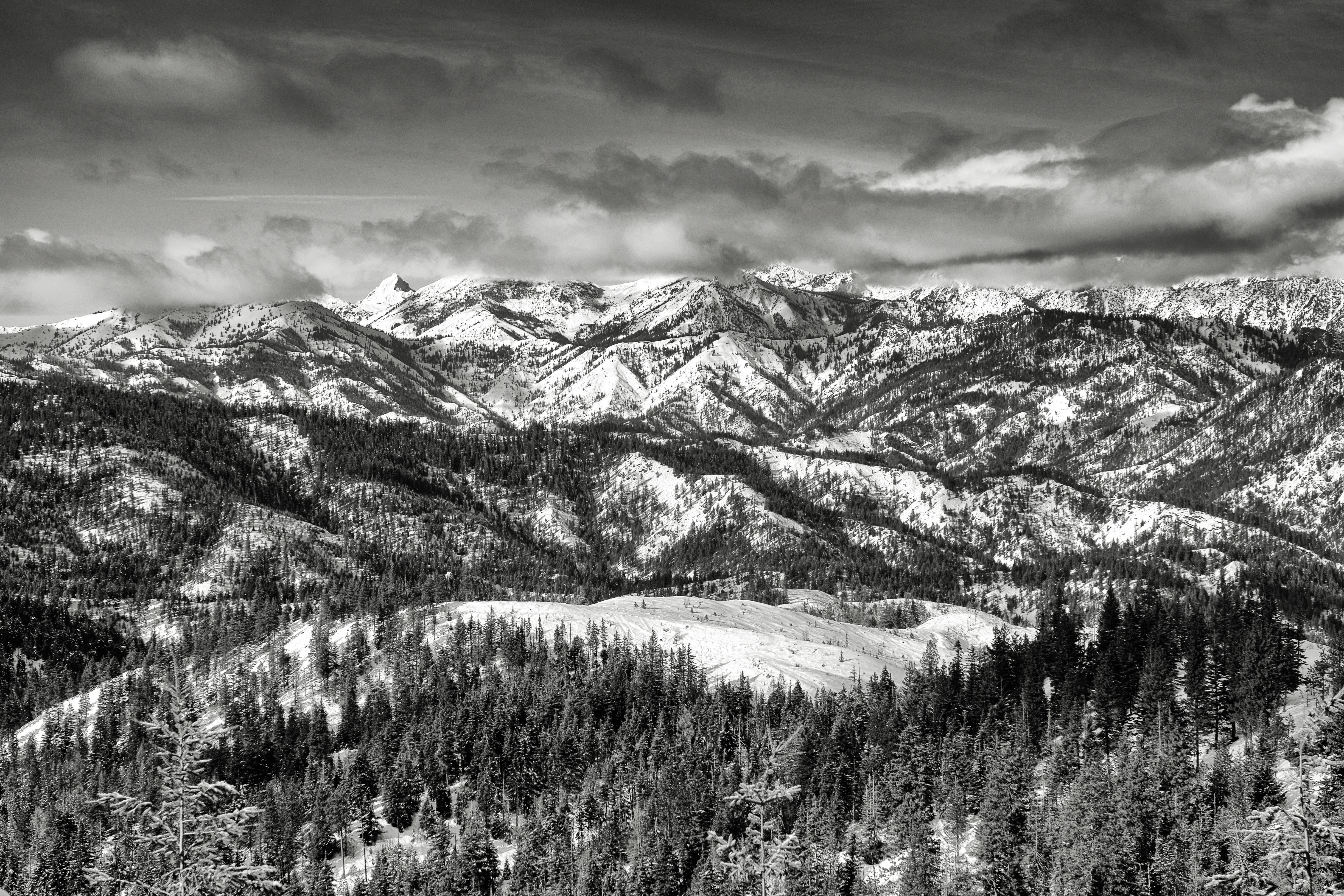A black and white photo of a mountain range photo – Free Tree Image on ...