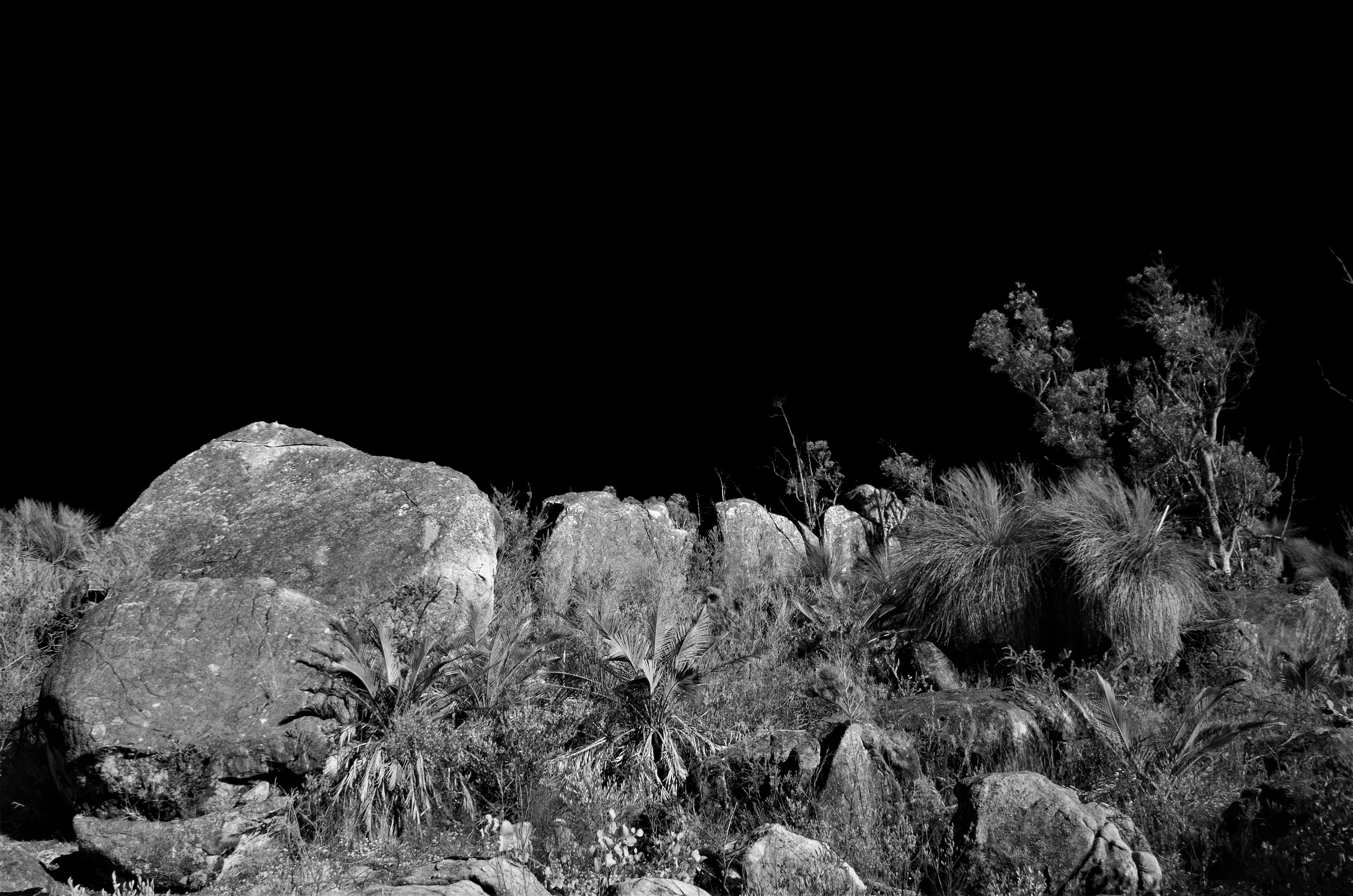 Photo by photoken123