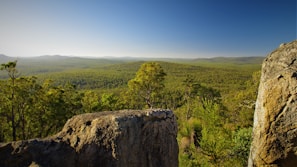 A scenic Rust landscape showing forests and mountains with a player exploring.