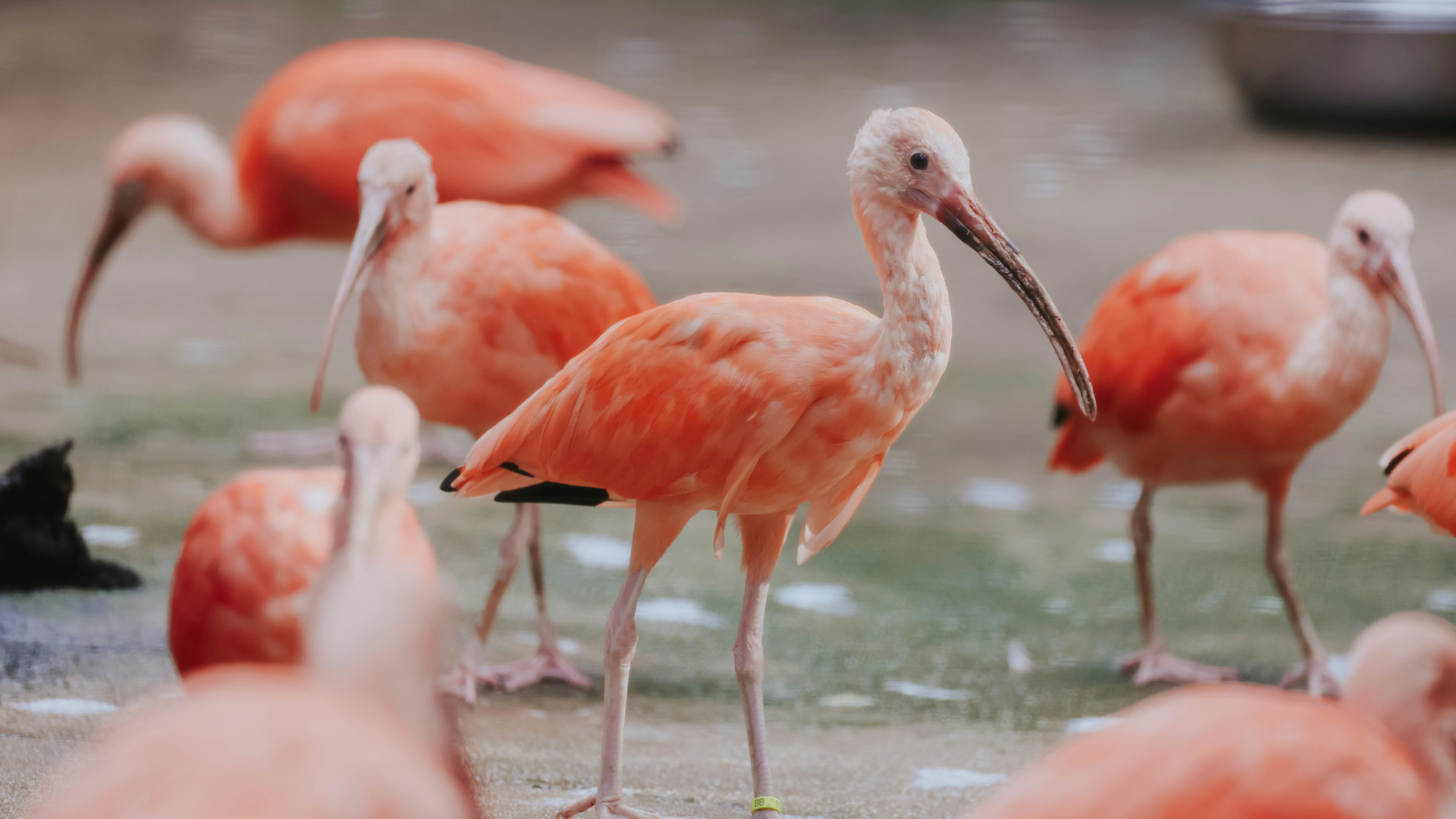 Photo by dickenslin76