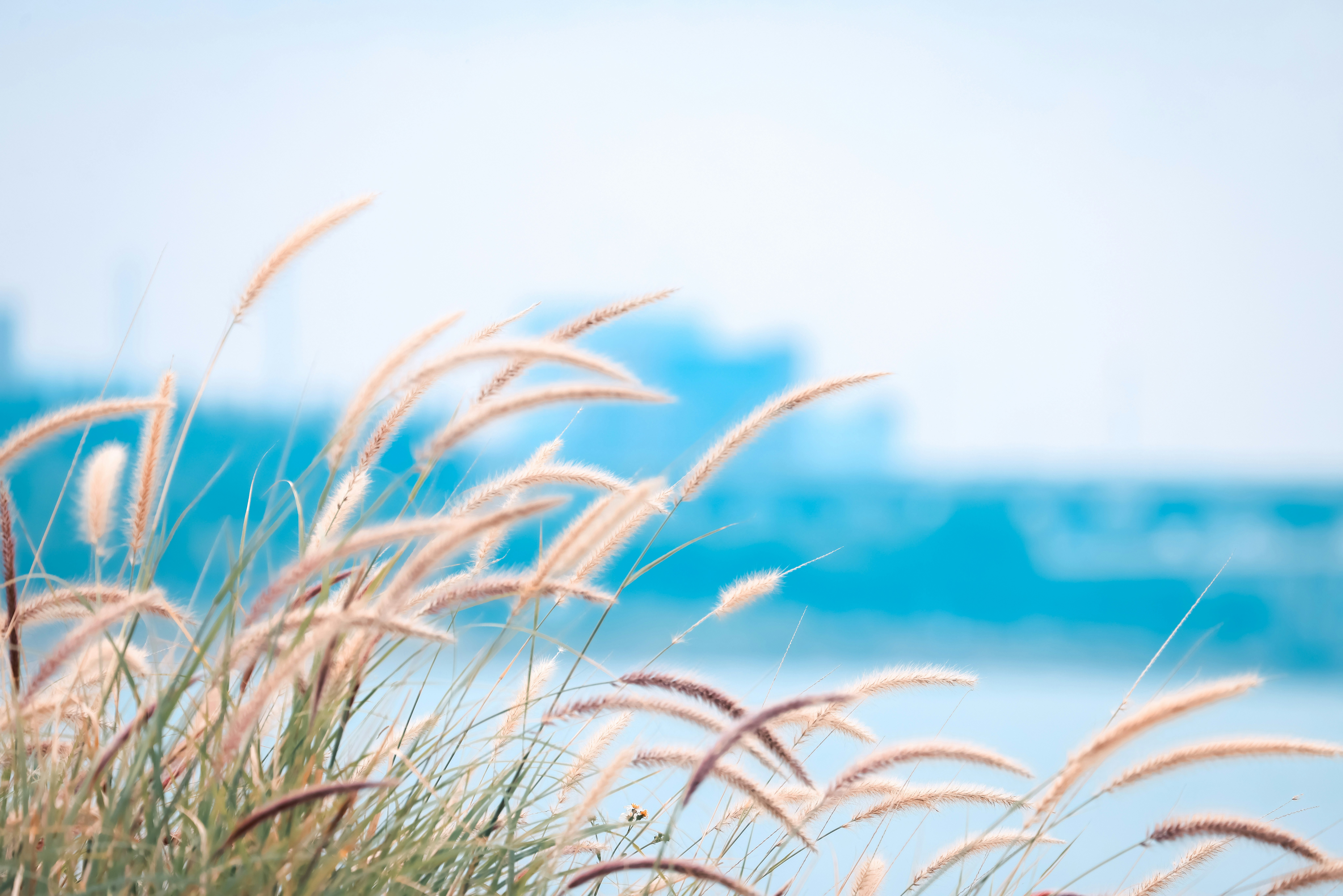 Photo by dickenslin76