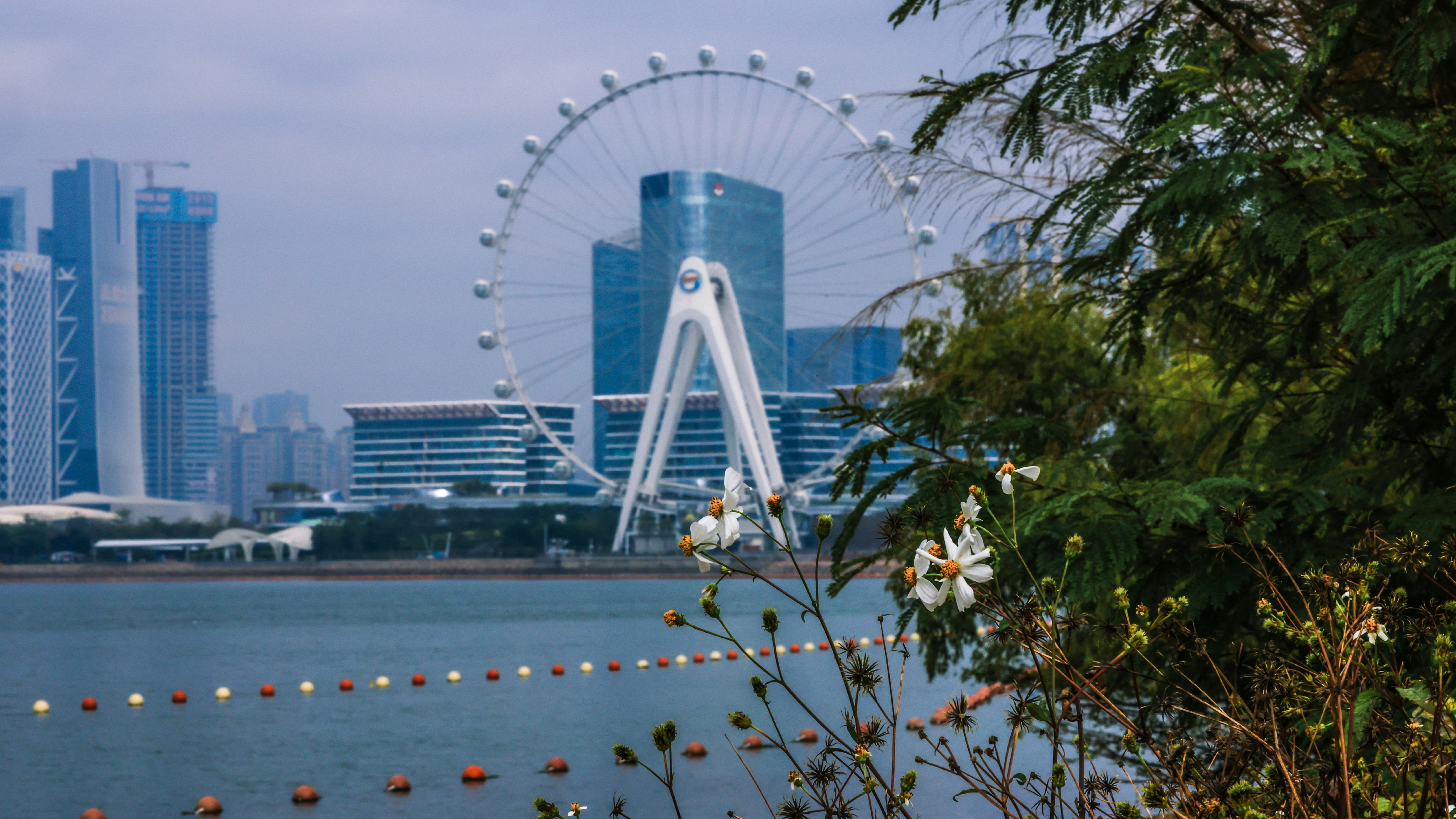 a large ferris wheel sitting next to a body of water