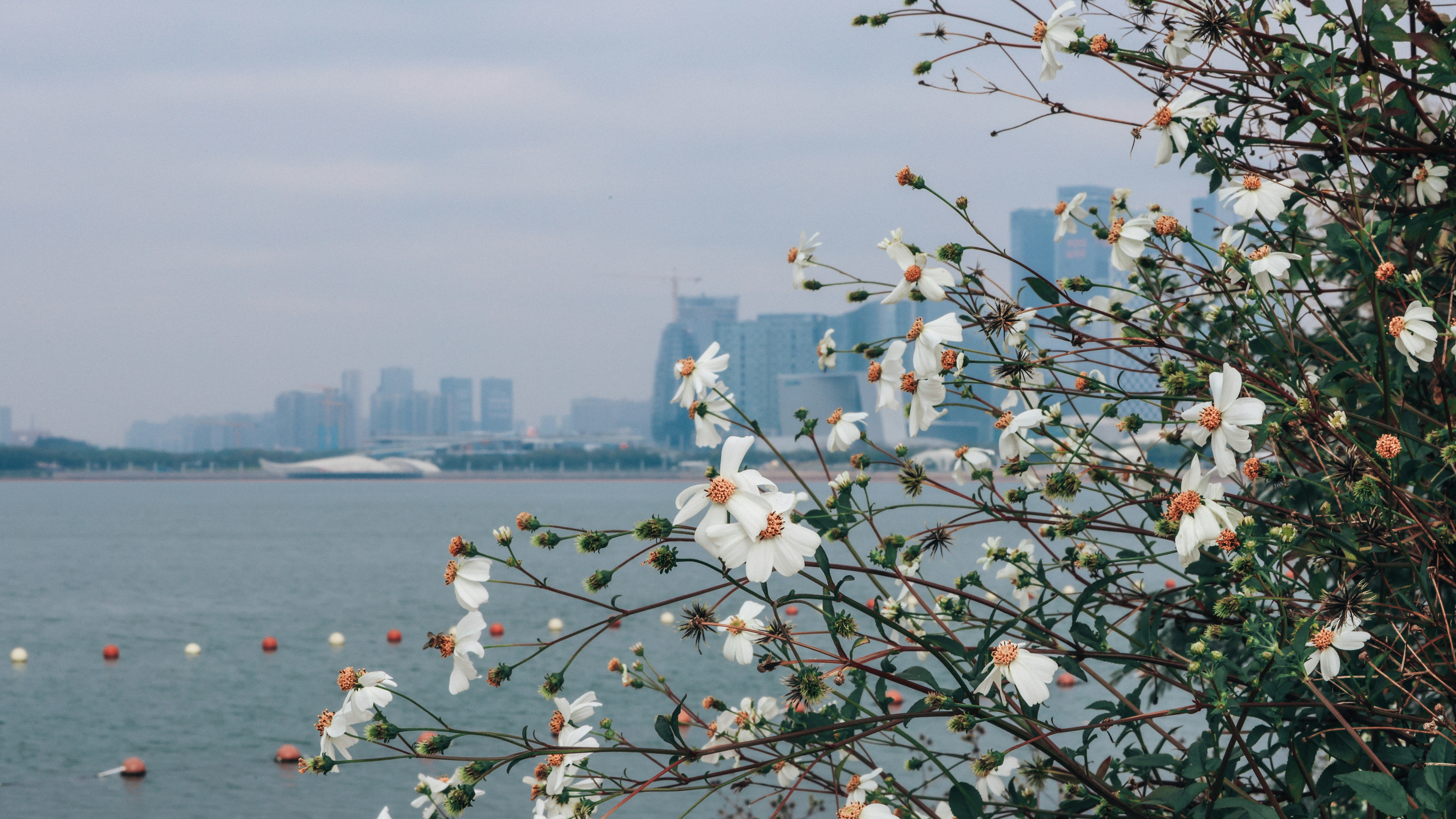 Photo by dickenslin76