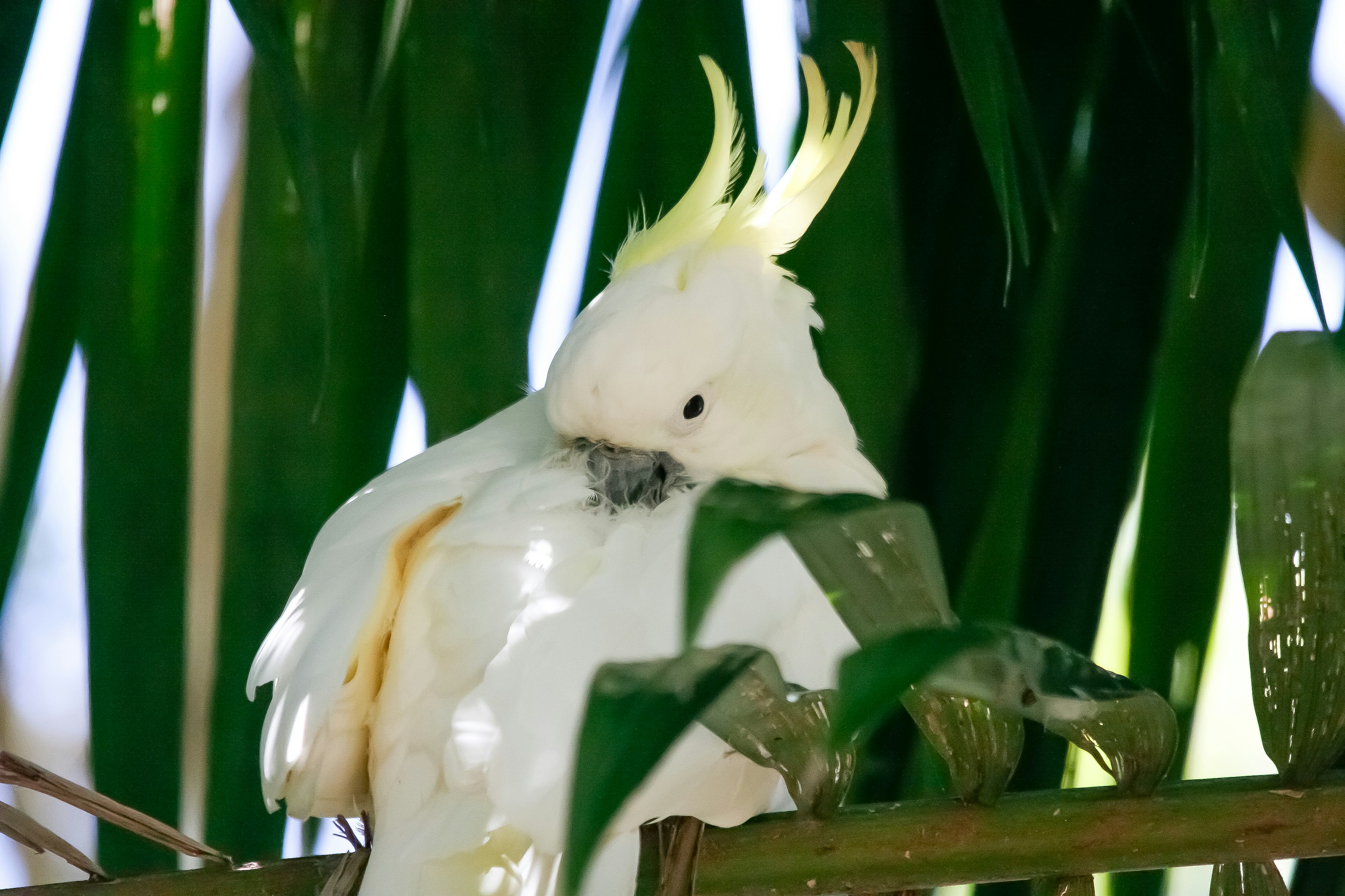 Photo by adventureplz