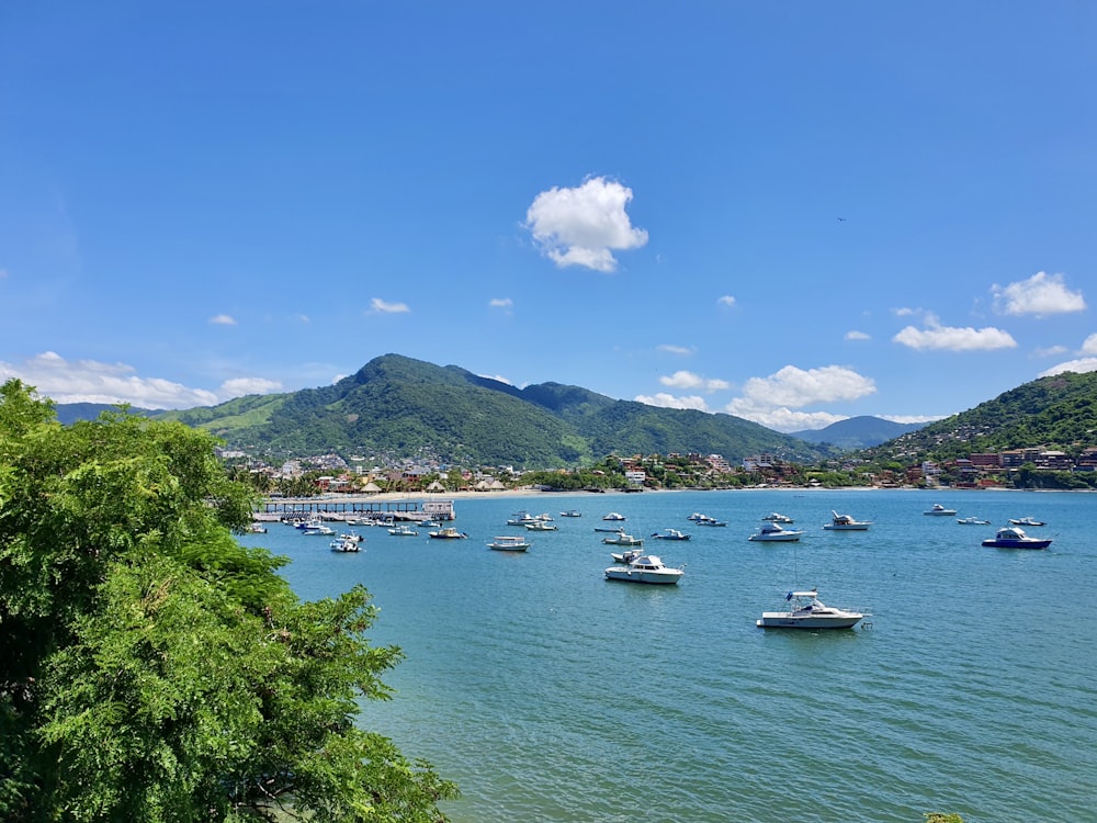 a large body of water filled with lots of boats