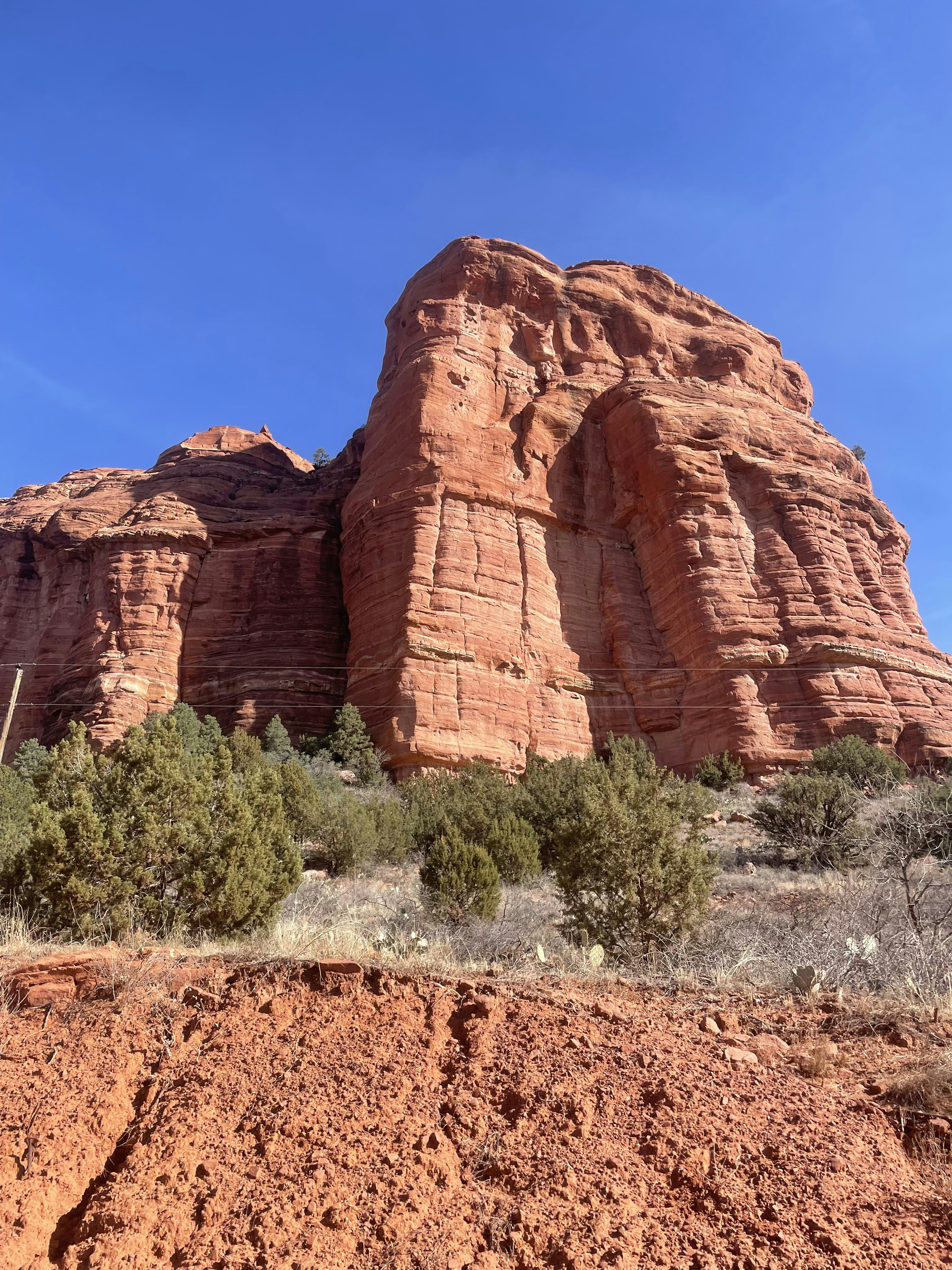 Photo by natthecatbat