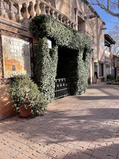A charming outdoor setting with ivy-covered walls and a decorative railing. The walls have posters with signs reading 'PATIO DE LA CAPELLA'. The ground is paved with patterned tiles that cast soft shadows, and there is a potted plant to the side. The scene conveys a mix of nature and rustic architecture.