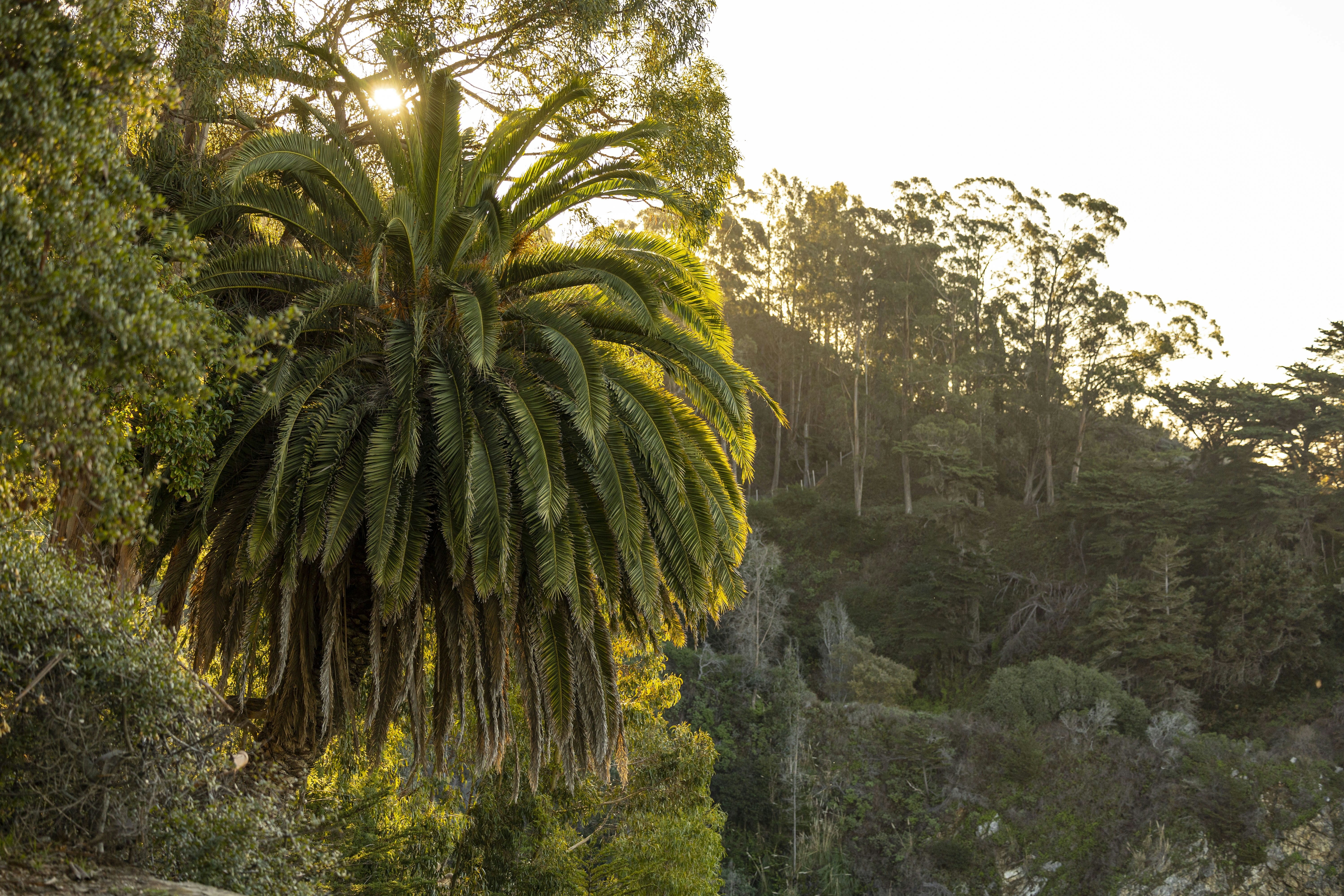 Photo by leo_visions_